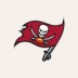 Tampa Bay Buccaneers logo