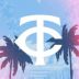Minnesota Twins logo