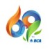 PT Bank Central Asia Tbk (BCA) logo
